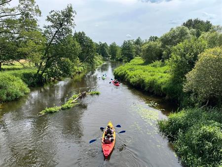 Zielony ogród i strefa relaksu na przystani Joniec